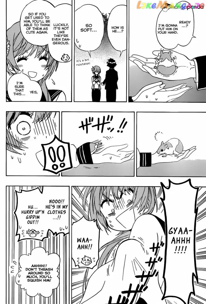 Nisekoi Chapter 142 image 17_optimized